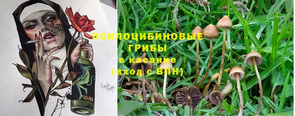бутират Армянск