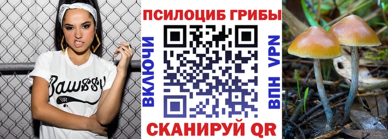 Галлюциногенные грибы Psilocybe  дарнет шоп  Снежногорск 
